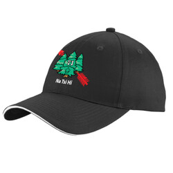 C919 - M133E001 - EMB - Cap